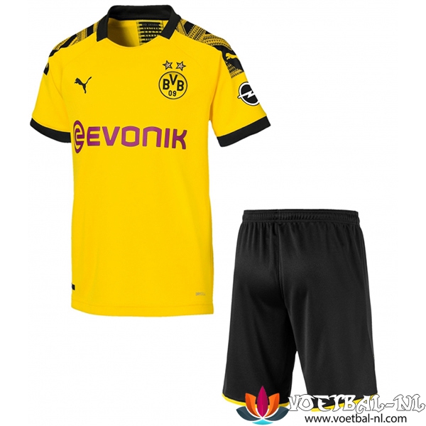 Dortmund BVB Thuisshirt Kind Tenue 2019/2020