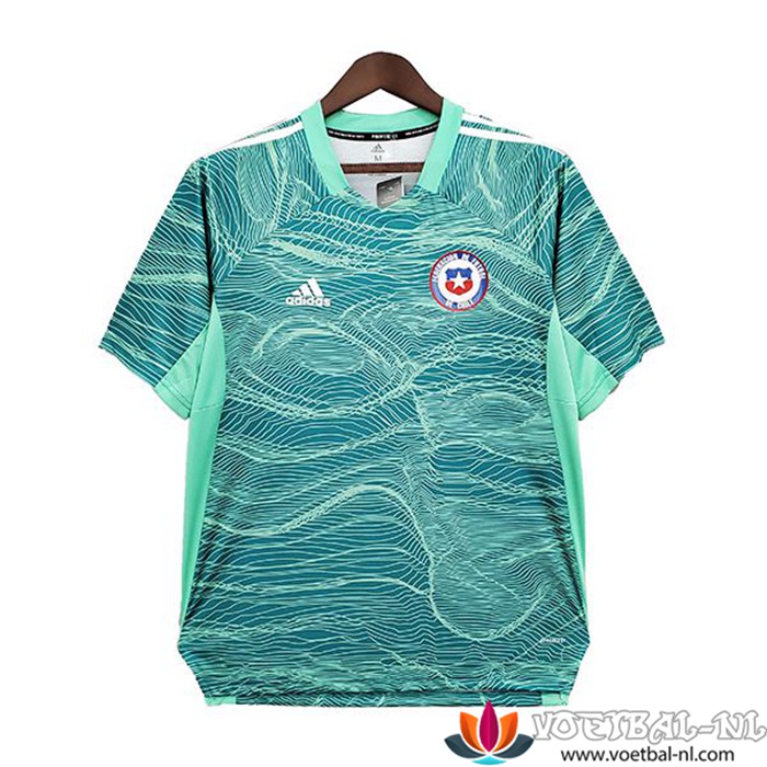 Colo-Colo Doelman Groen Shirt 2021/2022