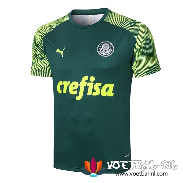Palmeiras Trainingsshirt Groen 2020/2021