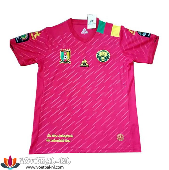 Cameroun Third Shirt 2021/2022