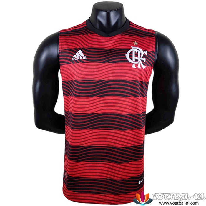 Flamengo Voetbalshirts Gilet 2022/2023