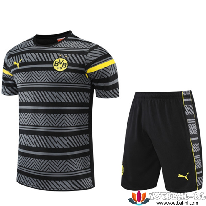 Dortmund BVB Trainingsshirt +Shorts Grijs 2022/2023