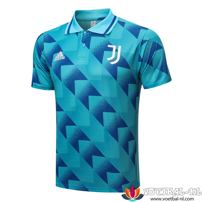 Juventus Polo Shirt Blauw 2022/2023