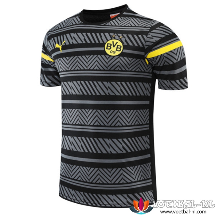 Dortmund BVB Trainingsshirt Grijs 2022/2023