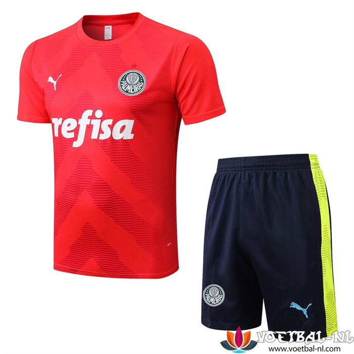 Palmeiras Trainingsshirt + Shorts Rood 2022/2023