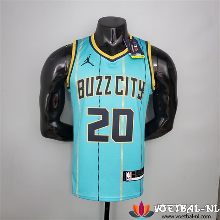 Nieuwe Charlotte Hornets (Hayward #20) NBA shirts Groente