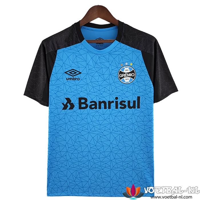 Gremio Trainingsshirt Blauw 2022/2023