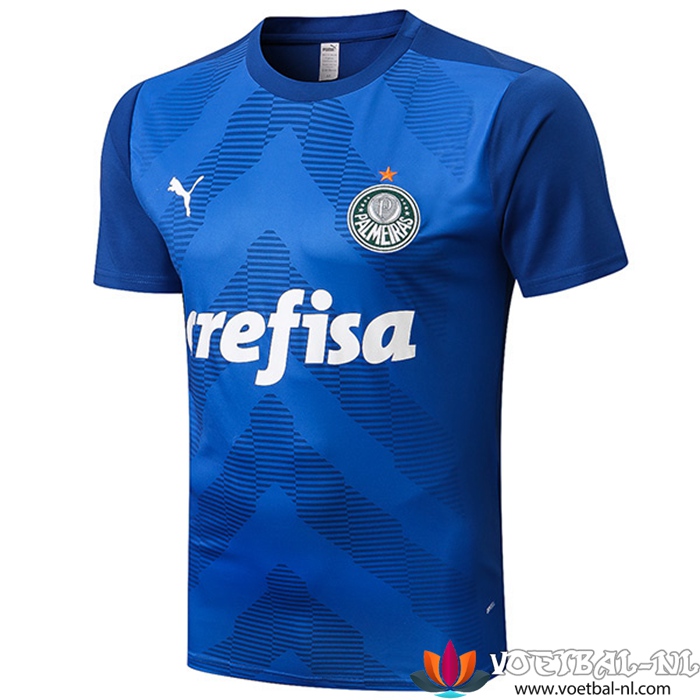 Palmeiras Trainingsshirt Blauw 2022/2023