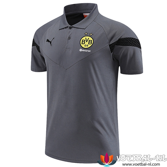 Dortmund Polo Shirt Grijs 2023/2023